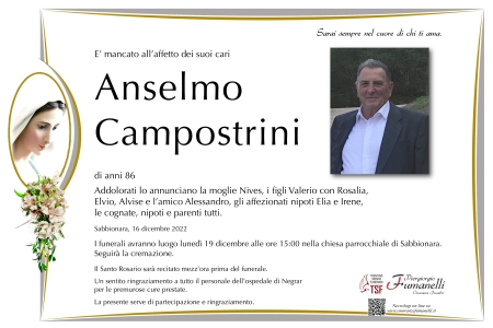 Anselmo Campostrini